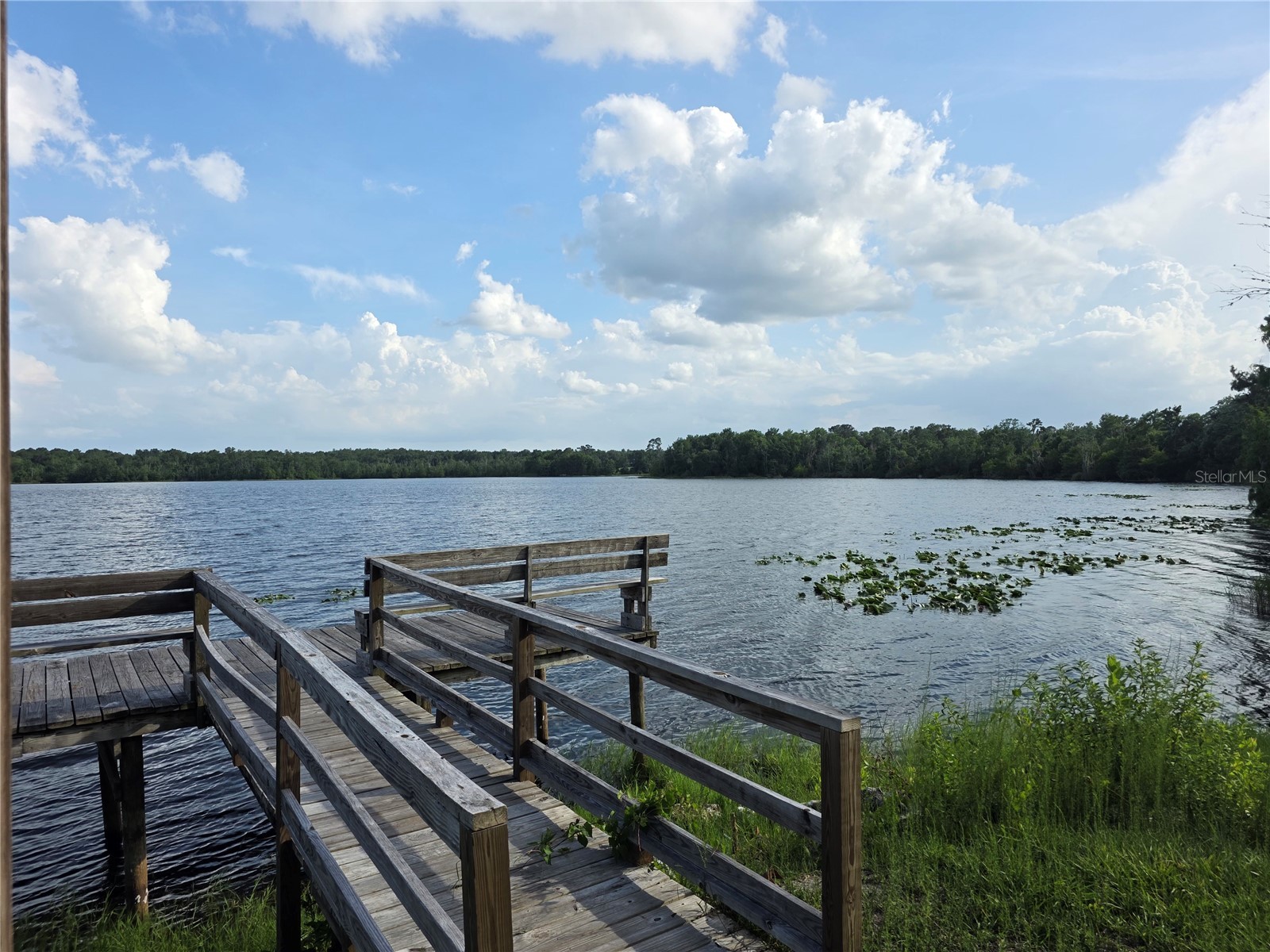 1724 SE 164th Circle Ocklawaha FL 32179 G5112964 image54