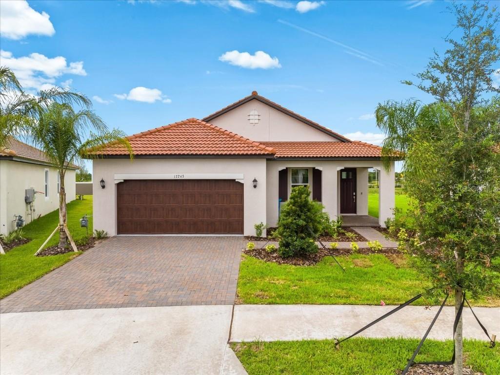 17243 Star Banks Street Wimauma FL 33598 U8211215 image1