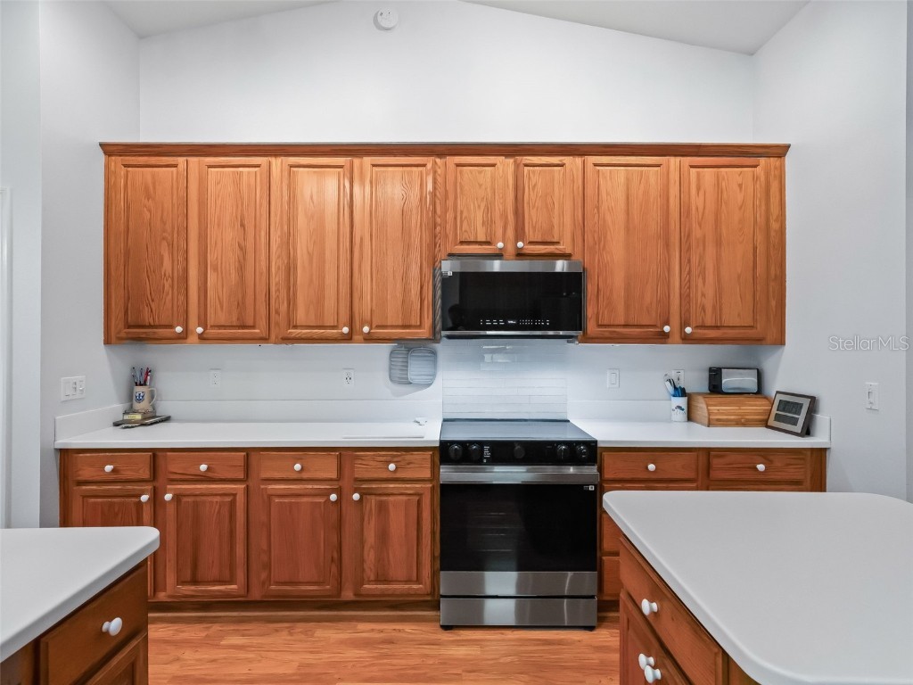 17244 SE 130th Avenue Weirsdale FL 32195 OM710804 image13