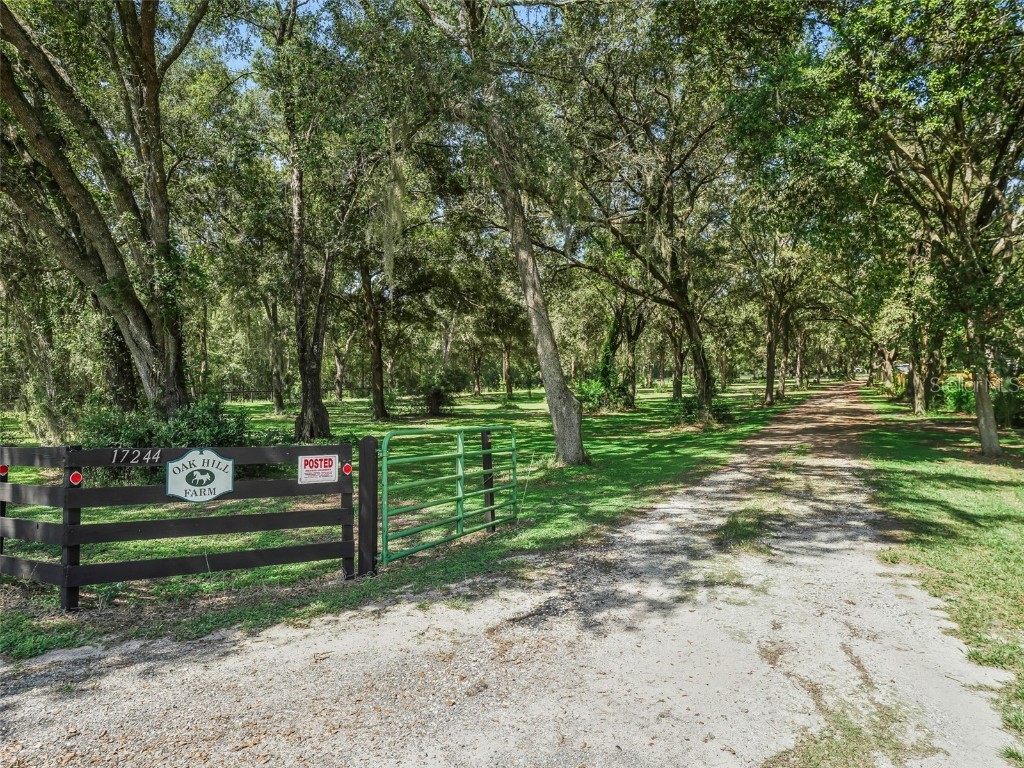 17244 SE 130th Avenue Weirsdale FL 32195 OM710804 image2