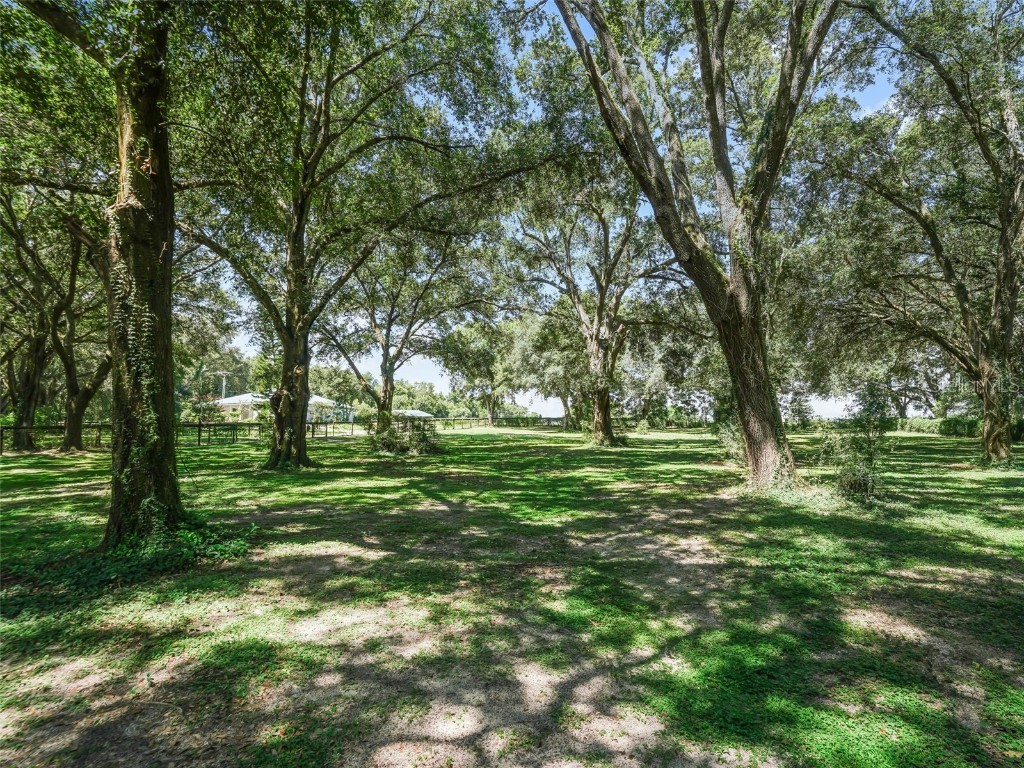 17244 SE 130th Avenue Weirsdale FL 32195 OM710804 image54