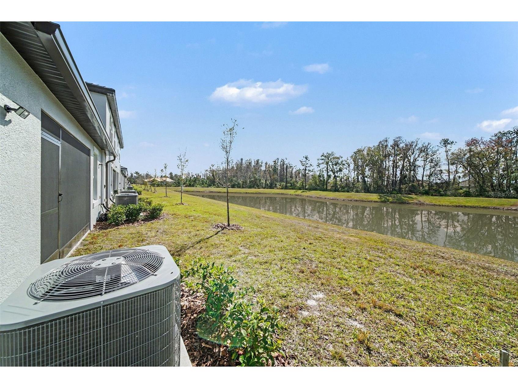 17244 Tortoise Crown Boulevard Land O Lakes FL 34638 TB8468676 image24