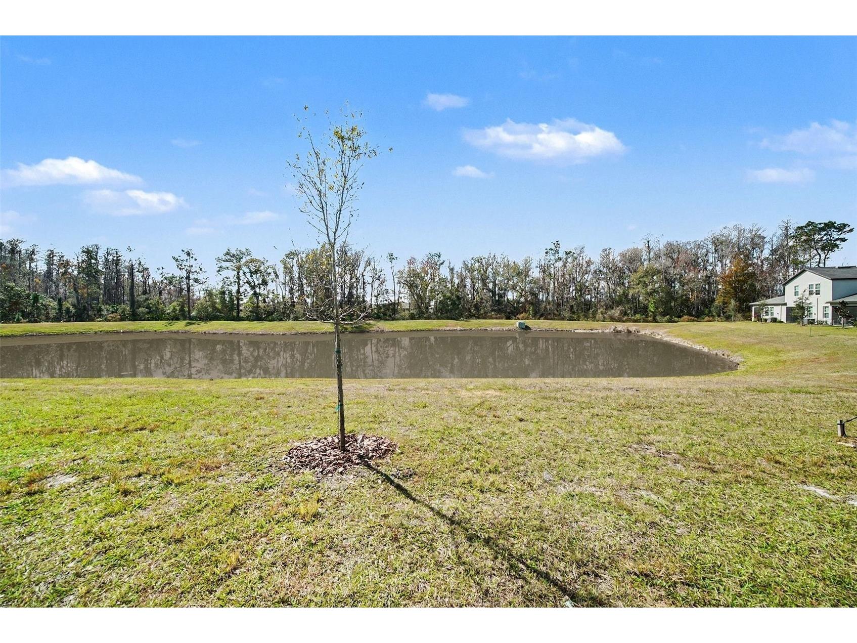 17244 Tortoise Crown Boulevard Land O Lakes FL 34638 TB8468676 image28