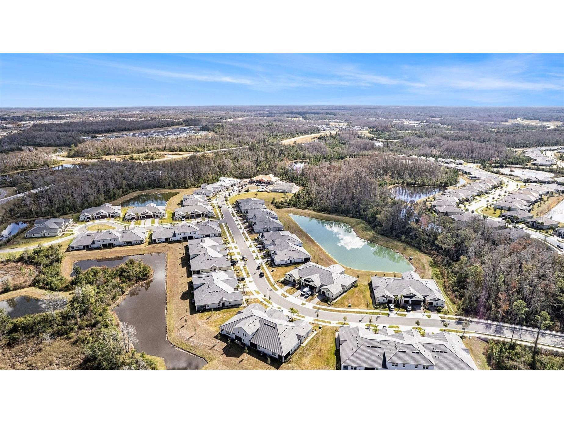 17244 Tortoise Crown Boulevard Land O Lakes FL 34638 TB8468676 image30