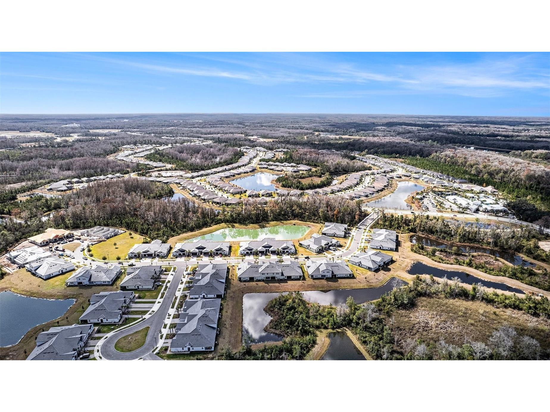 17244 Tortoise Crown Boulevard Land O Lakes FL 34638 TB8468676 image31