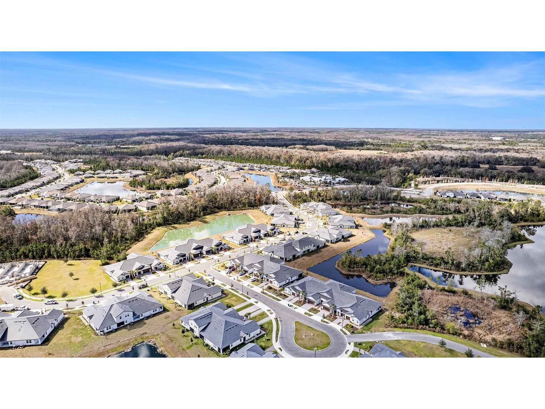 17244 Tortoise Crown Boulevard Land O Lakes FL 34638 TB8468676 image32