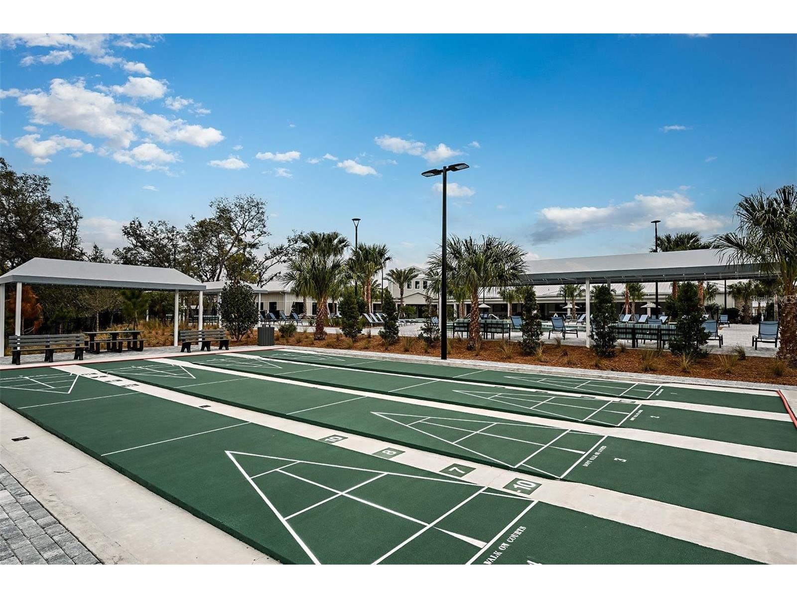 17244 Tortoise Crown Boulevard Land O Lakes FL 34638 TB8468676 image35