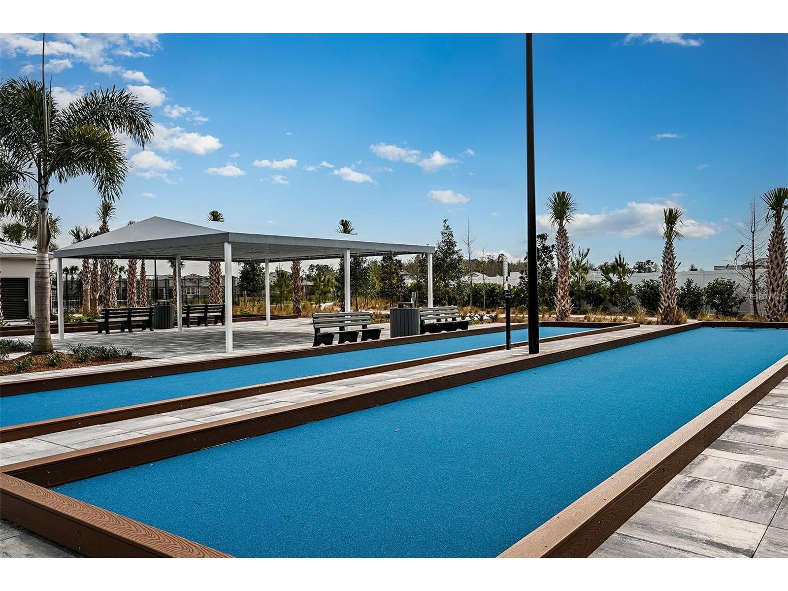 17244 Tortoise Crown Boulevard Land O Lakes FL 34638 TB8468676 image36
