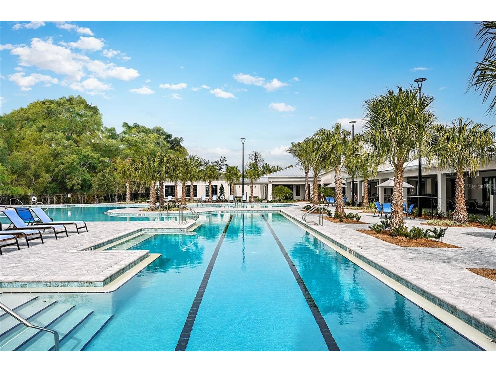 17244 Tortoise Crown Boulevard Land O Lakes FL 34638 TB8468676 image40