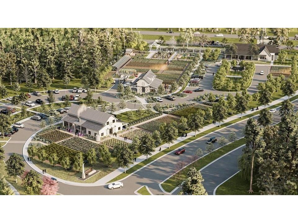 17244 Tortoise Crown Boulevard Land O Lakes FL 34638 TB8468676 image45