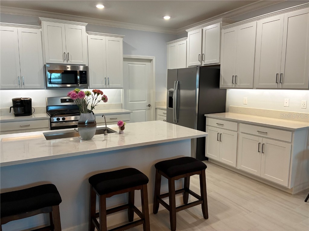 17245 Star Banks St Wimauma FL 33598 TB8418982 image15