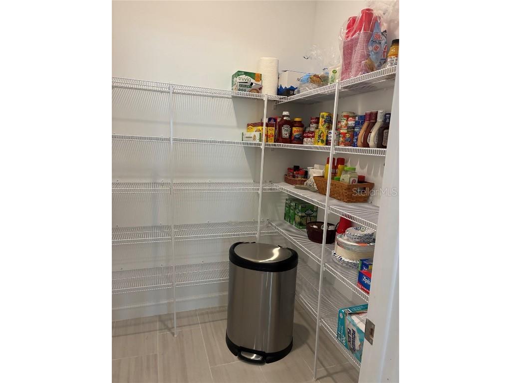 17245 Star Banks St Wimauma FL 33598 TB8418982 image17