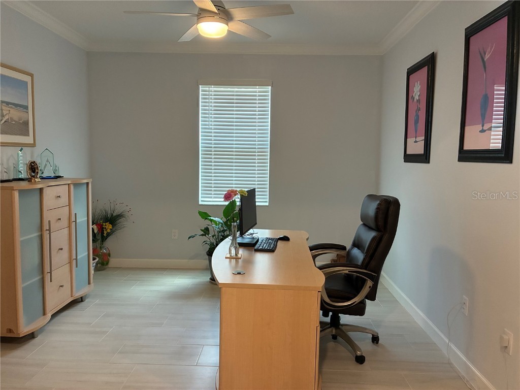 17245 Star Banks St Wimauma FL 33598 TB8418982 image21