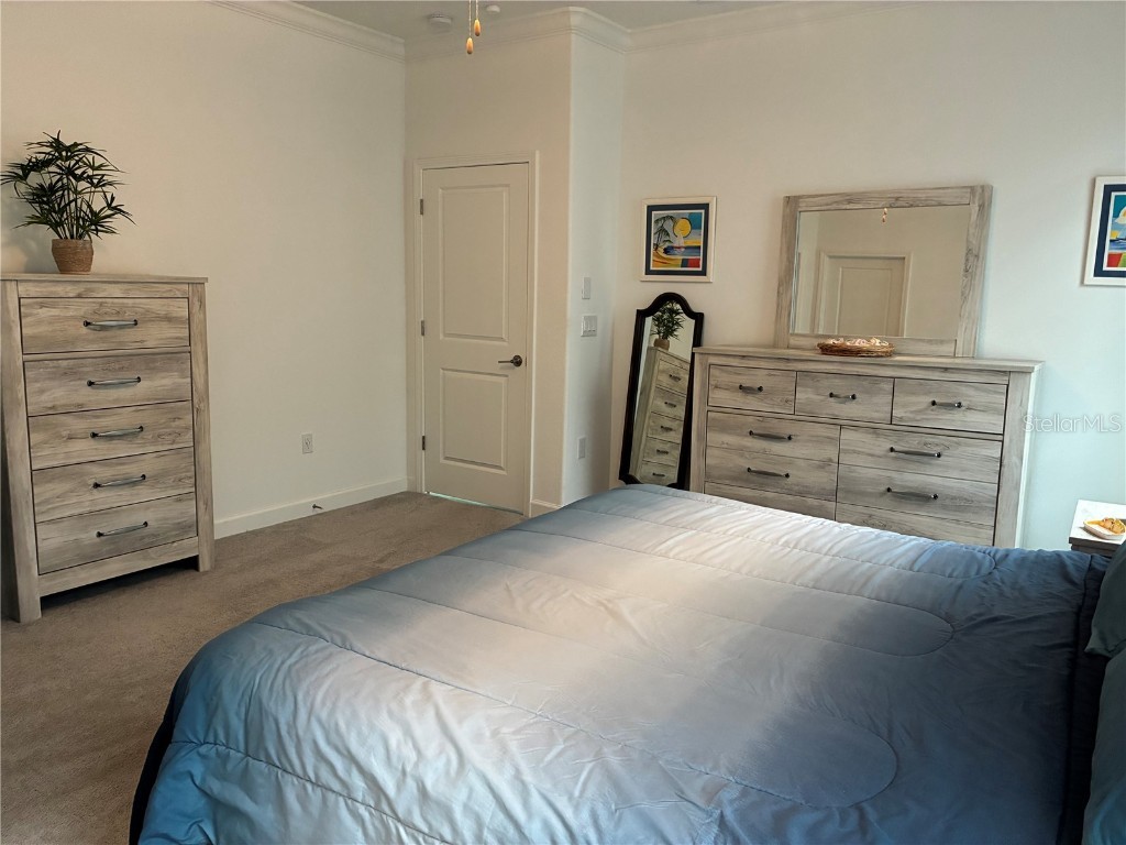 17245 Star Banks St Wimauma FL 33598 TB8418982 image22