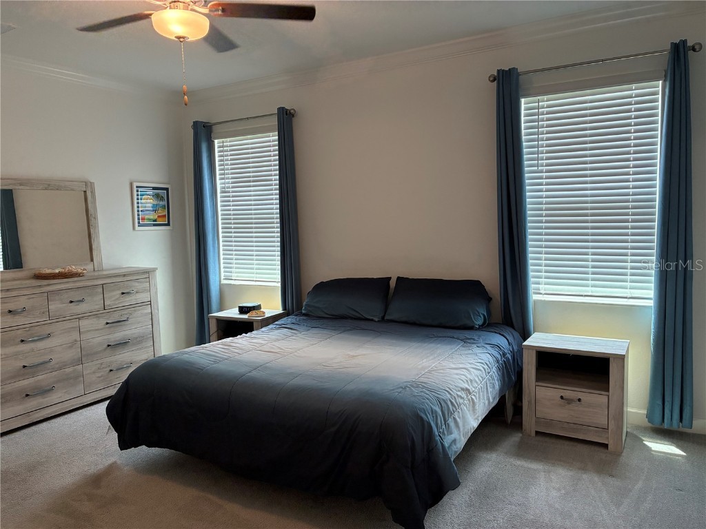 17245 Star Banks St Wimauma FL 33598 TB8418982 image23