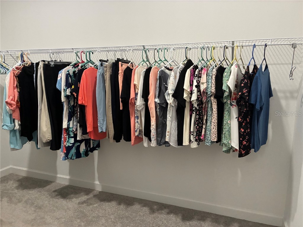 17245 Star Banks St Wimauma FL 33598 TB8418982 image25