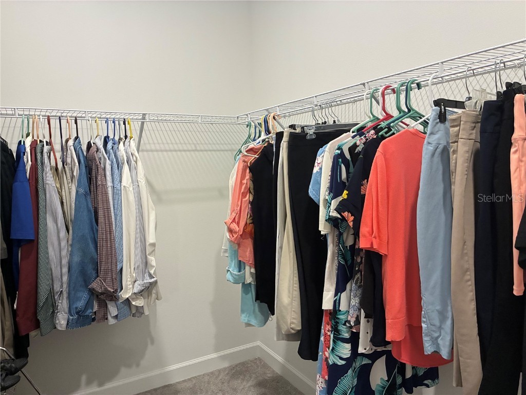 17245 Star Banks St Wimauma FL 33598 TB8418982 image26