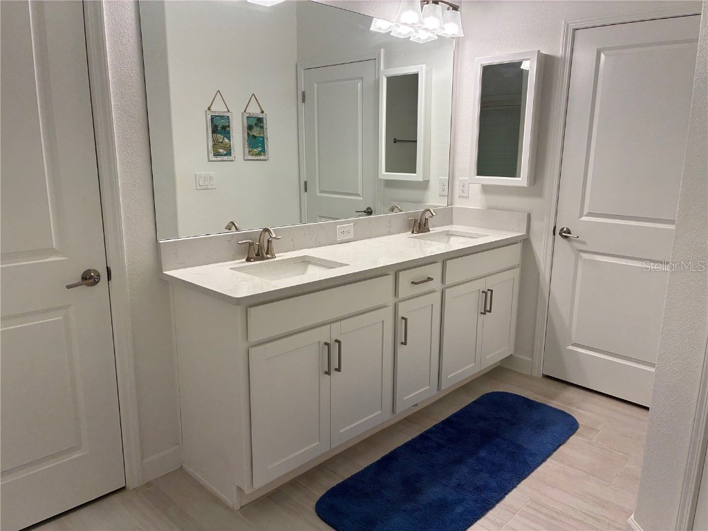 17245 Star Banks St Wimauma FL 33598 TB8418982 image28