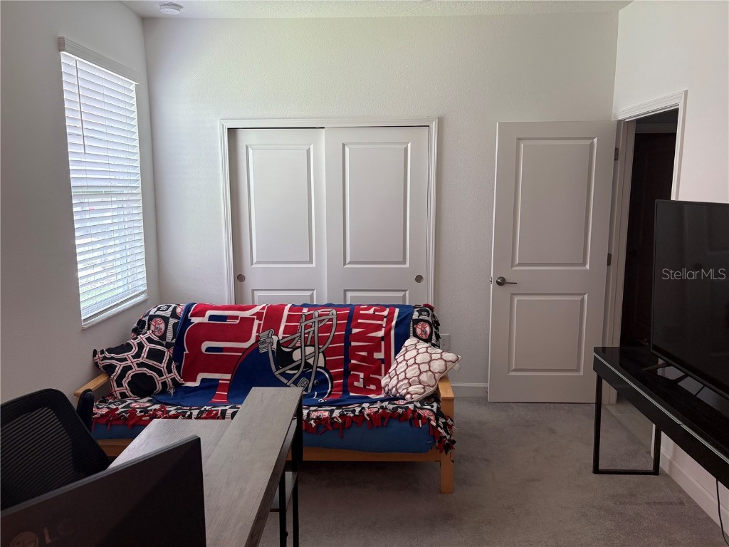 17245 Star Banks St Wimauma FL 33598 TB8418982 image29