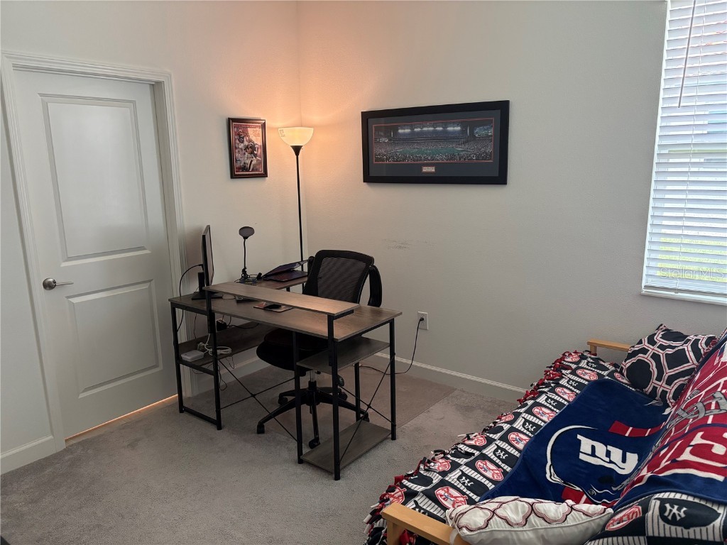 17245 Star Banks St Wimauma FL 33598 TB8418982 image31