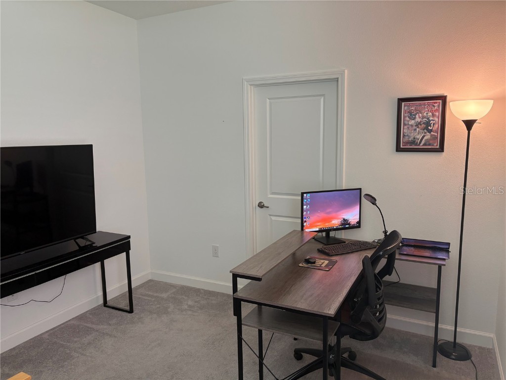 17245 Star Banks St Wimauma FL 33598 TB8418982 image32