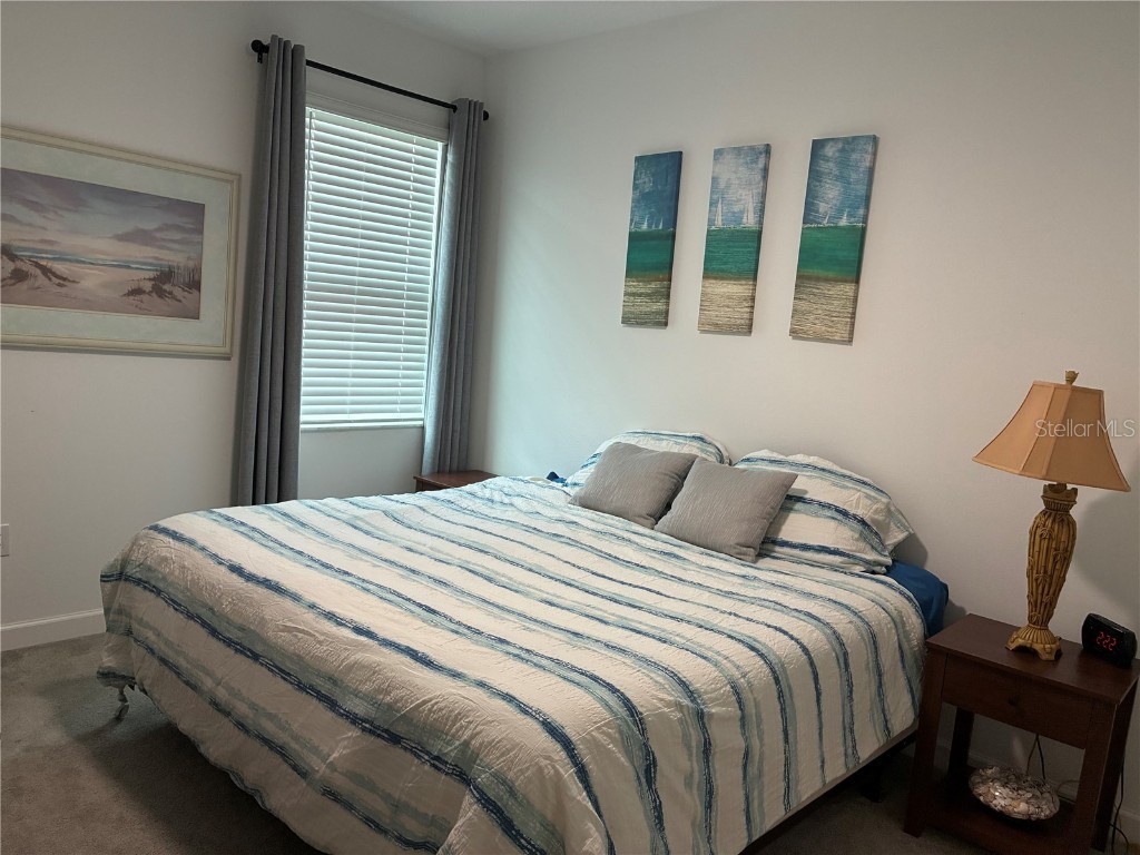 17245 Star Banks St Wimauma FL 33598 TB8418982 image33