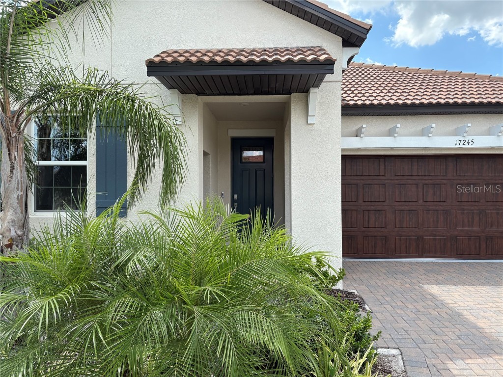 17245 Star Banks St Wimauma FL 33598 TB8418982 image6