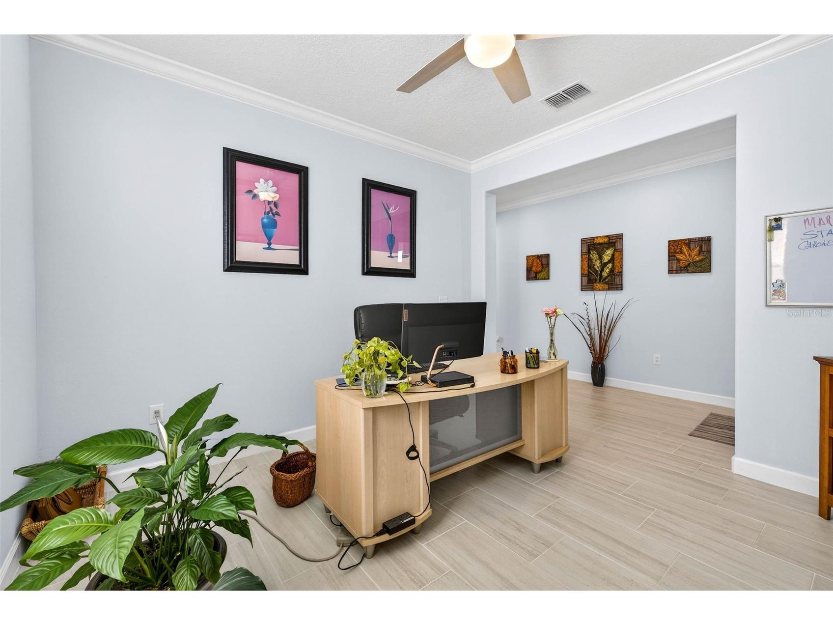 17245 Star Banks St Wimauma FL 33598 TB8470733 image7