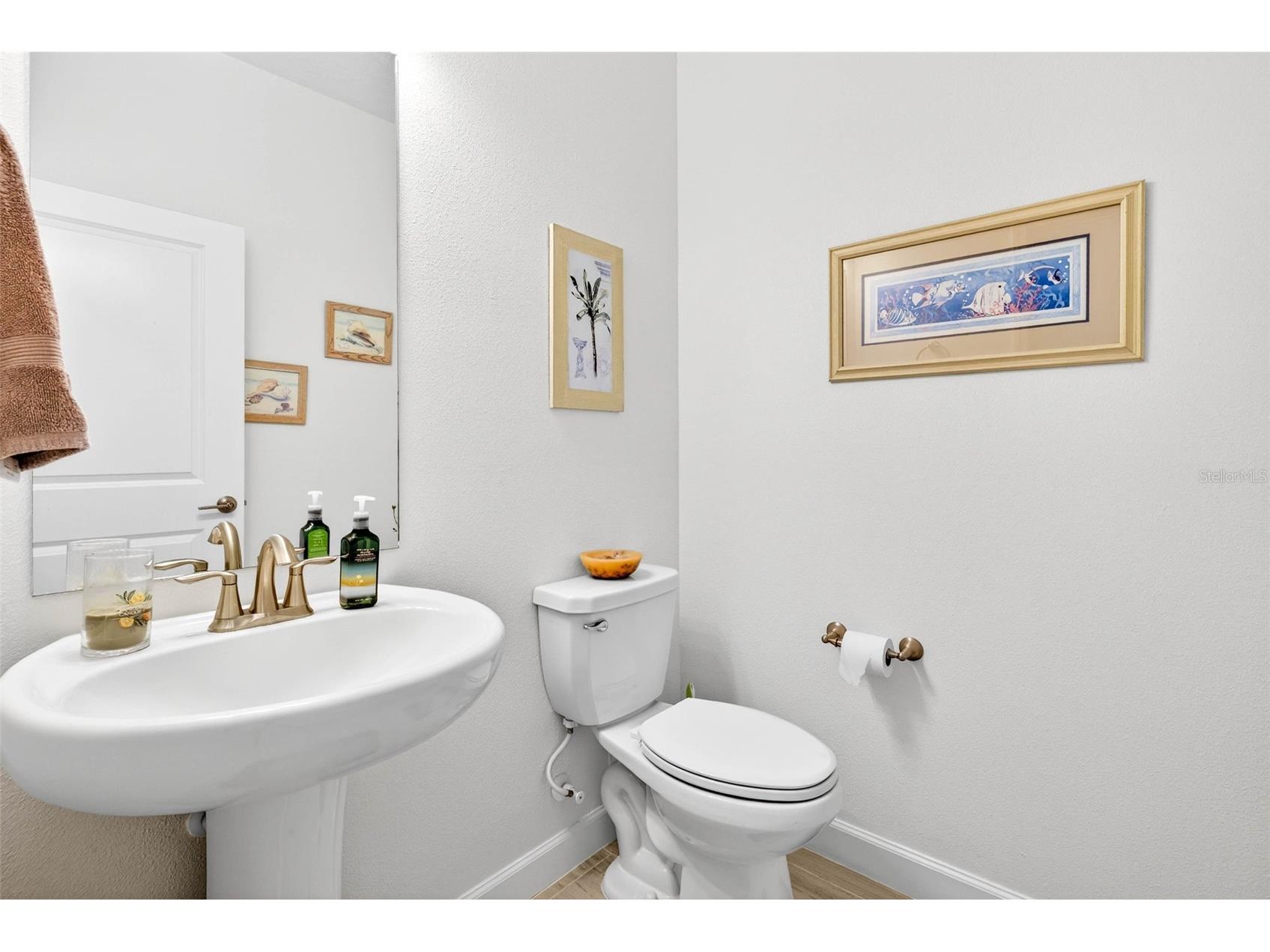 17245 Star Banks St Wimauma FL 33598 TB8470733 image9