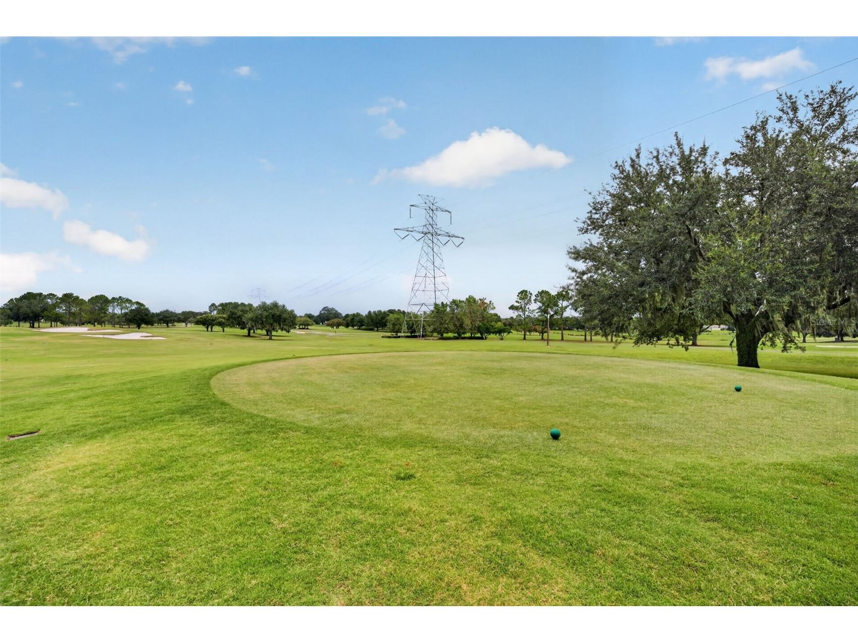 17246 SE 85th Willowick Circle The Villages FL 32162 G5115375 image41