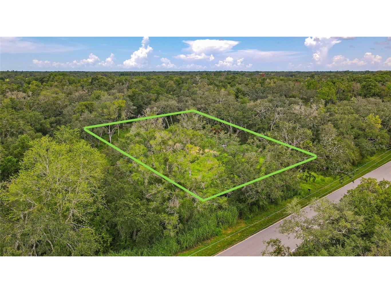 17247 Lawless Road Spring Hill FL 34610 W7879981 image1