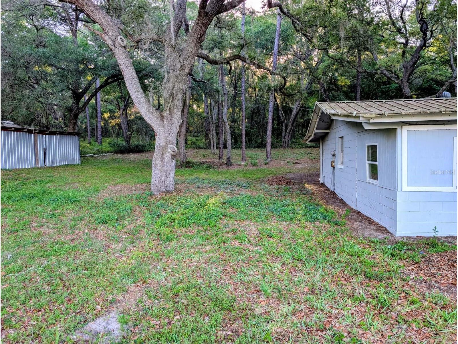 17247 SE 284th Terrace Umatilla FL 32784 R4911138 image13