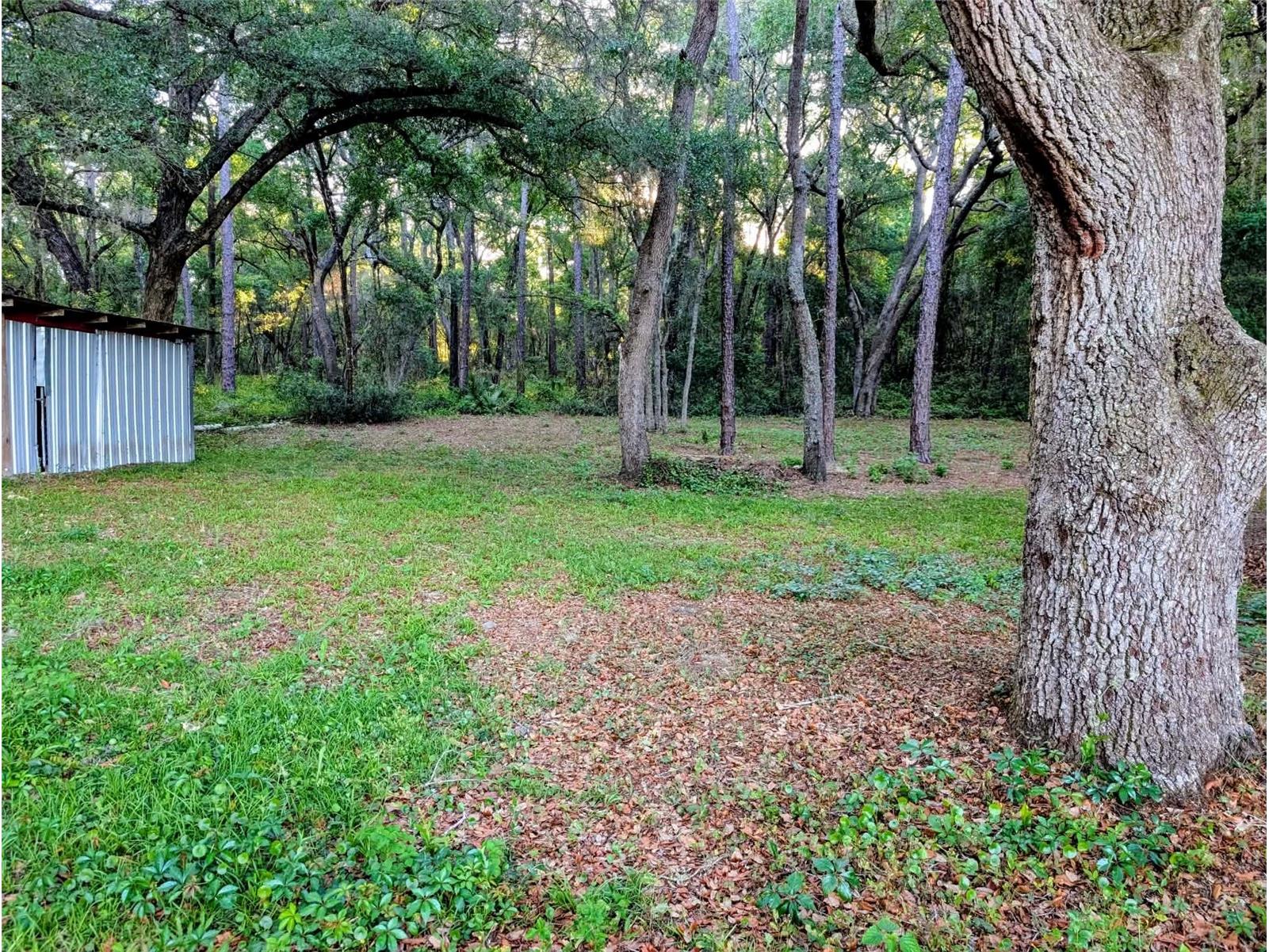 17247 SE 284th Terrace Umatilla FL 32784 R4911138 image16