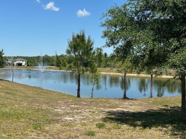 17249 Goldcrest Loop Clermont FL 34714 O6355953 image22
