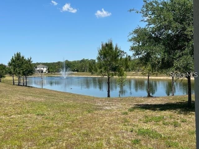 17249 Goldcrest Loop Clermont FL 34714 O6404298 image22