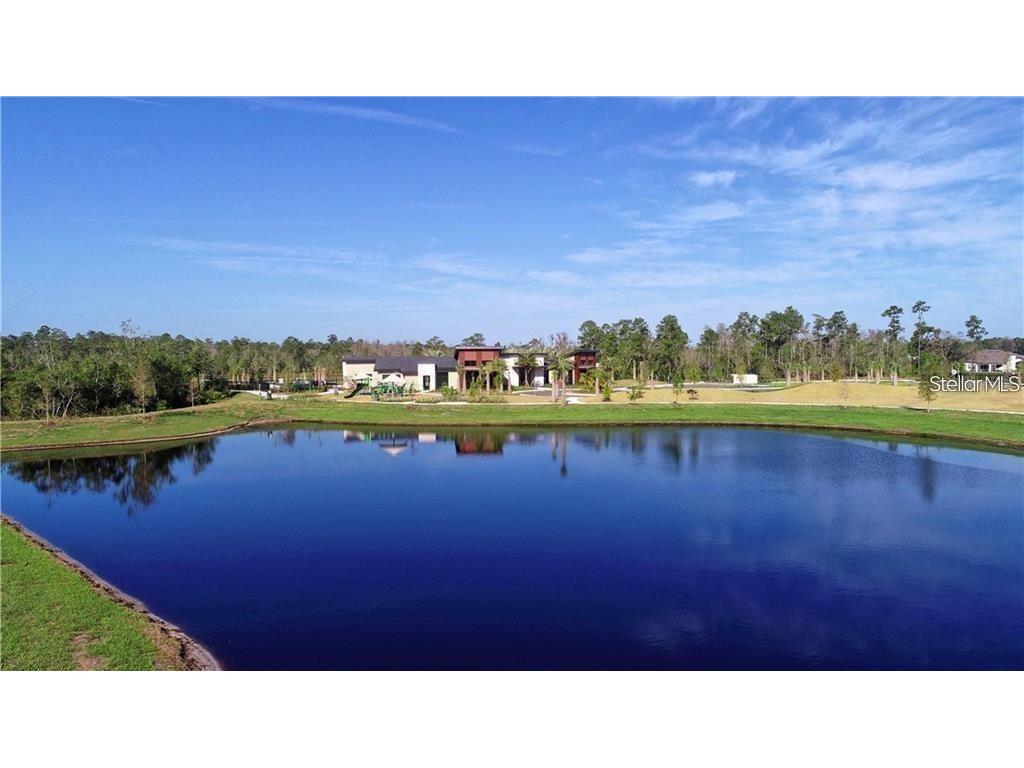 17249 Goldcrest Loop Clermont FL 34714 O6404298 image23