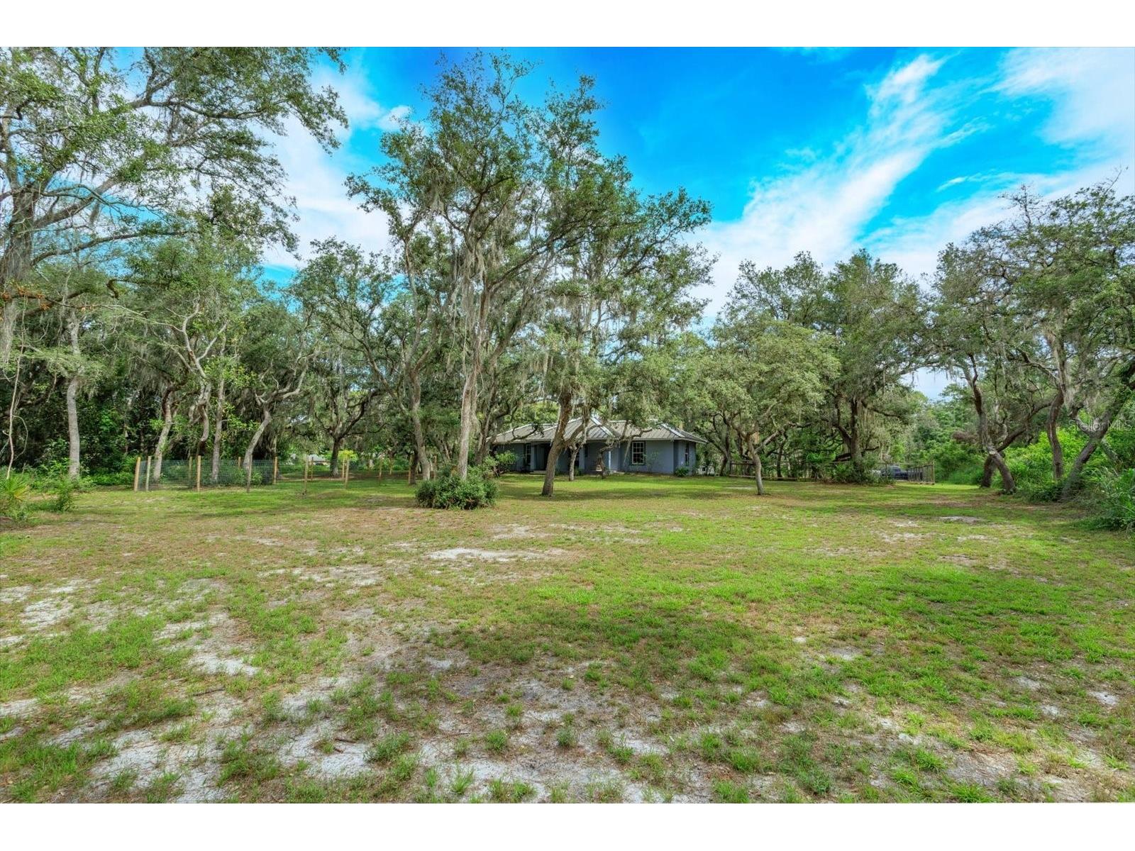 17249 Holly Court Umatilla FL 32784 O6415006 image2
