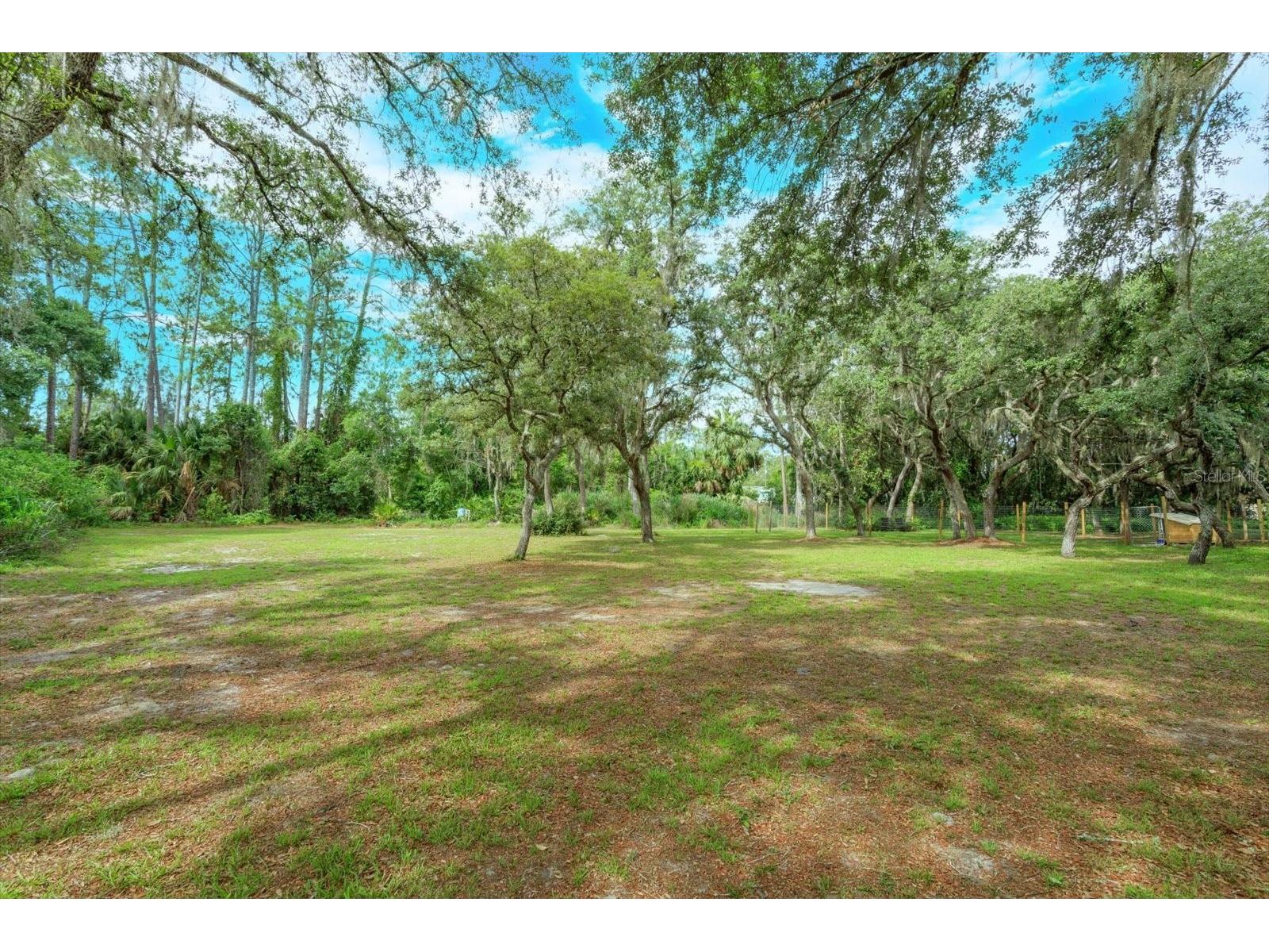 17249 Holly Court Umatilla FL 32784 O6415006 image20