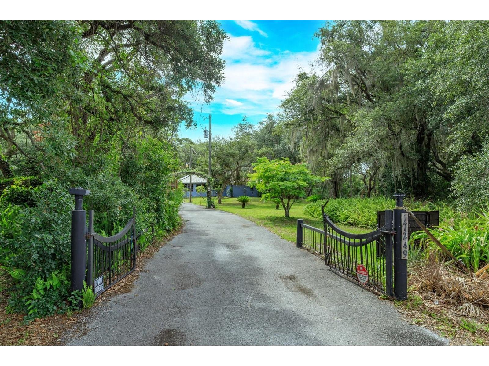 17249 Holly Court Umatilla FL 32784 O6415006 image22