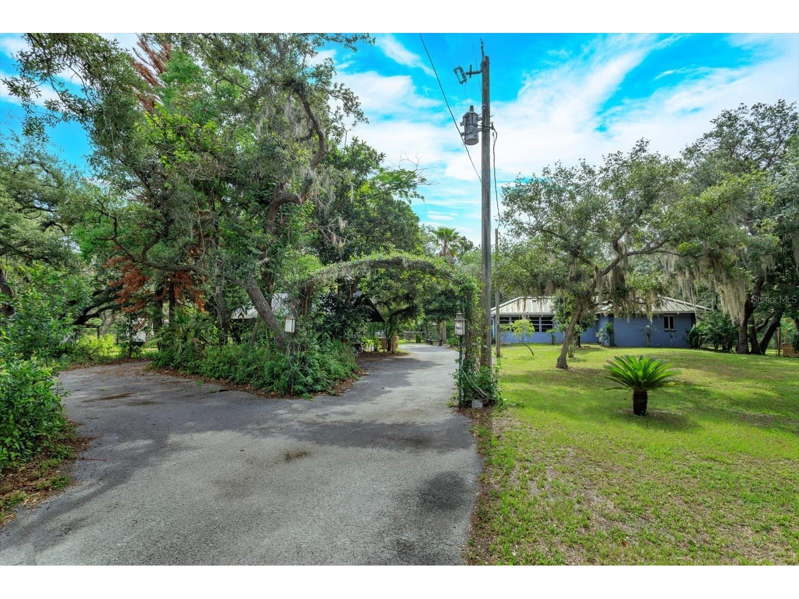 17249 Holly Court Umatilla FL 32784 O6415006 image23