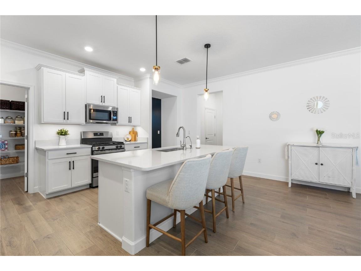 17249 Star Banks Street Wimauma FL 33598 TB8381487 image11