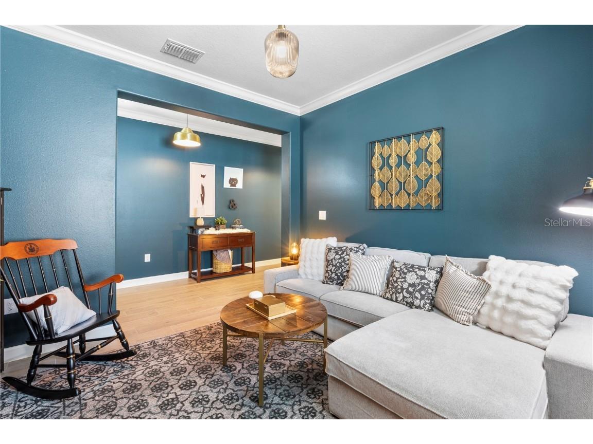 17249 Star Banks Street Wimauma FL 33598 TB8381487 image18