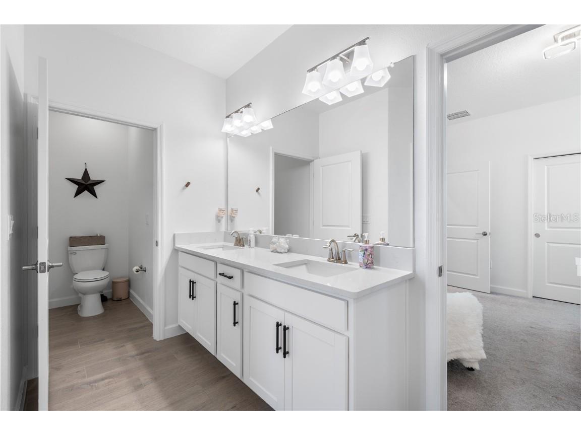 17249 Star Banks Street Wimauma FL 33598 TB8381487 image30