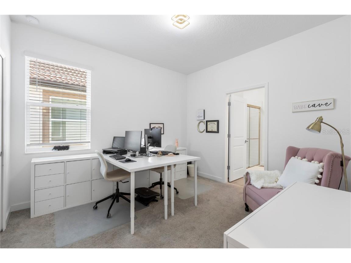 17249 Star Banks Street Wimauma FL 33598 TB8381487 image34