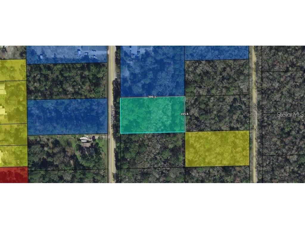 1725 Bayberry Street Bunnell FL 32110 FC302483 image1