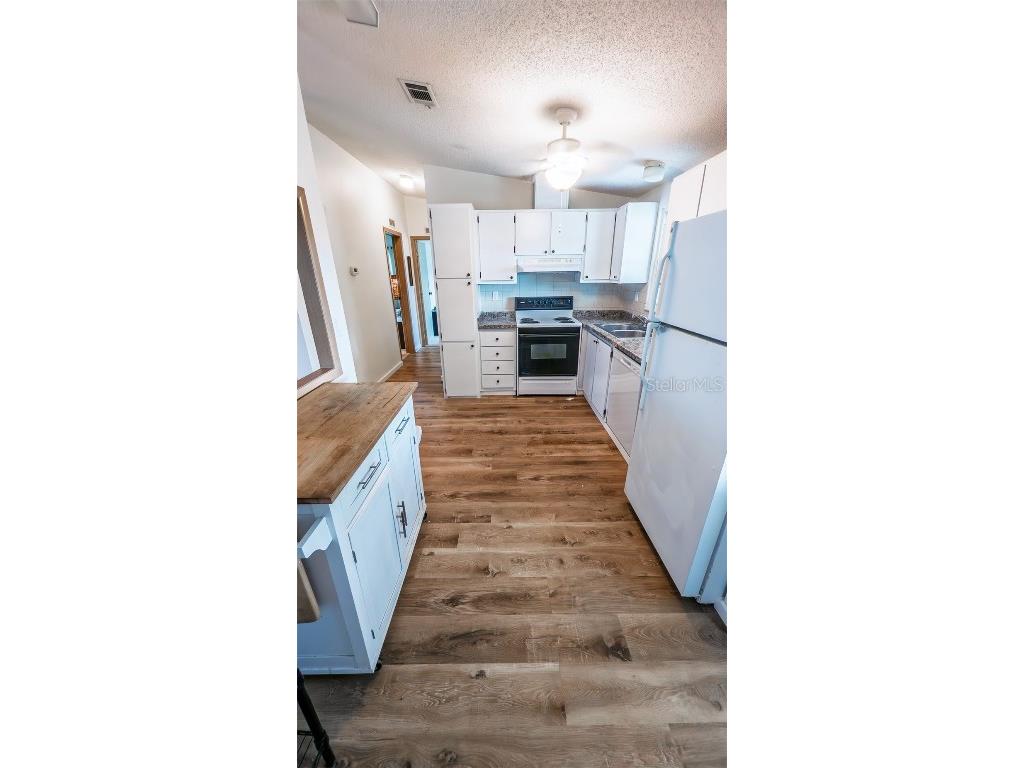 1725 Hilton Head Boulevard Lady Lake FL 32159 O6321543 image3