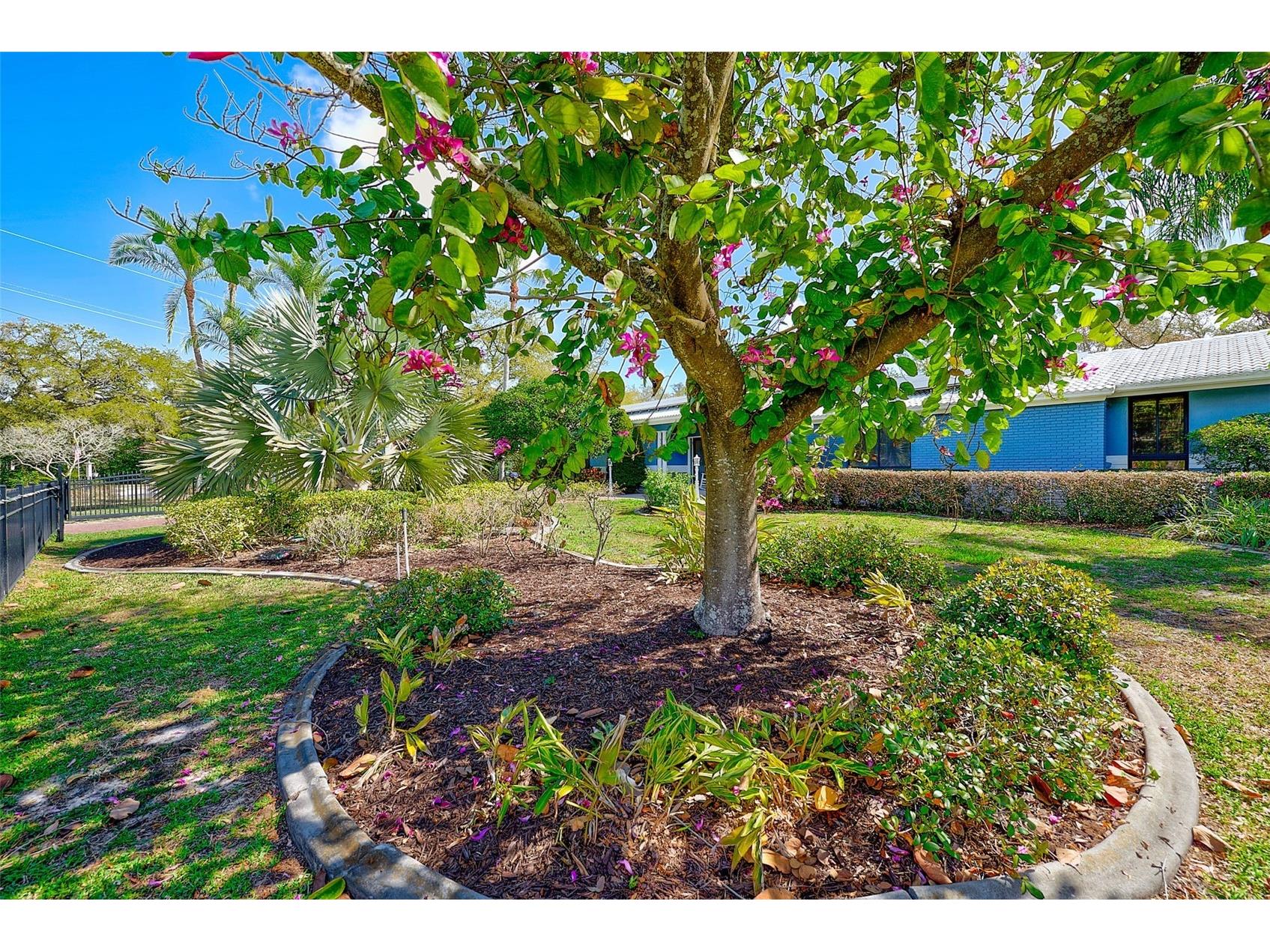 1725 Long Bow Lane Clearwater FL 33764 TB8483655 image56