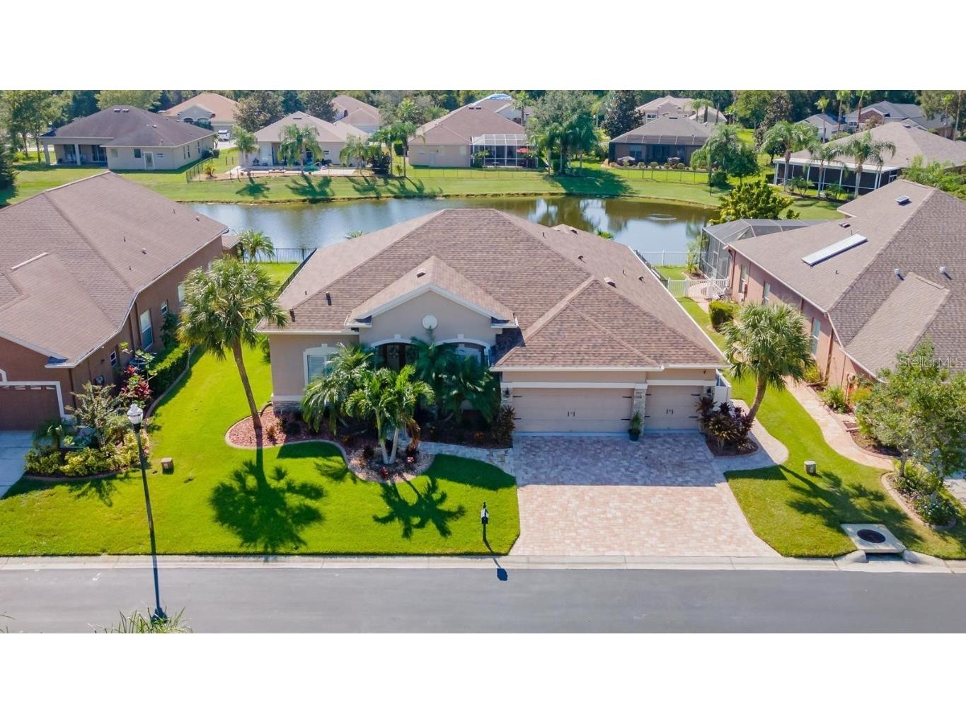 1725 Nodding Thistle Drive New Port Richey FL 34655 W7857880 image1