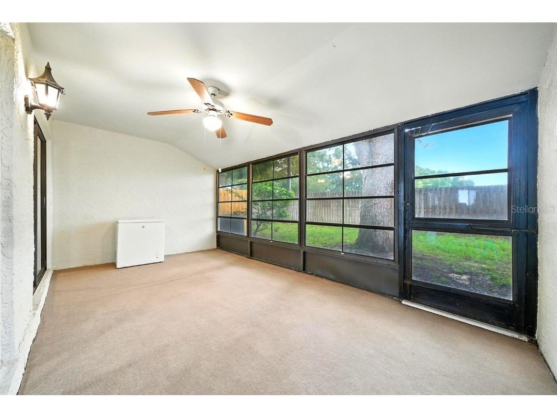 1725 Pine Ridge Way E #E Palm Harbor FL 34684 TB8458482 image25