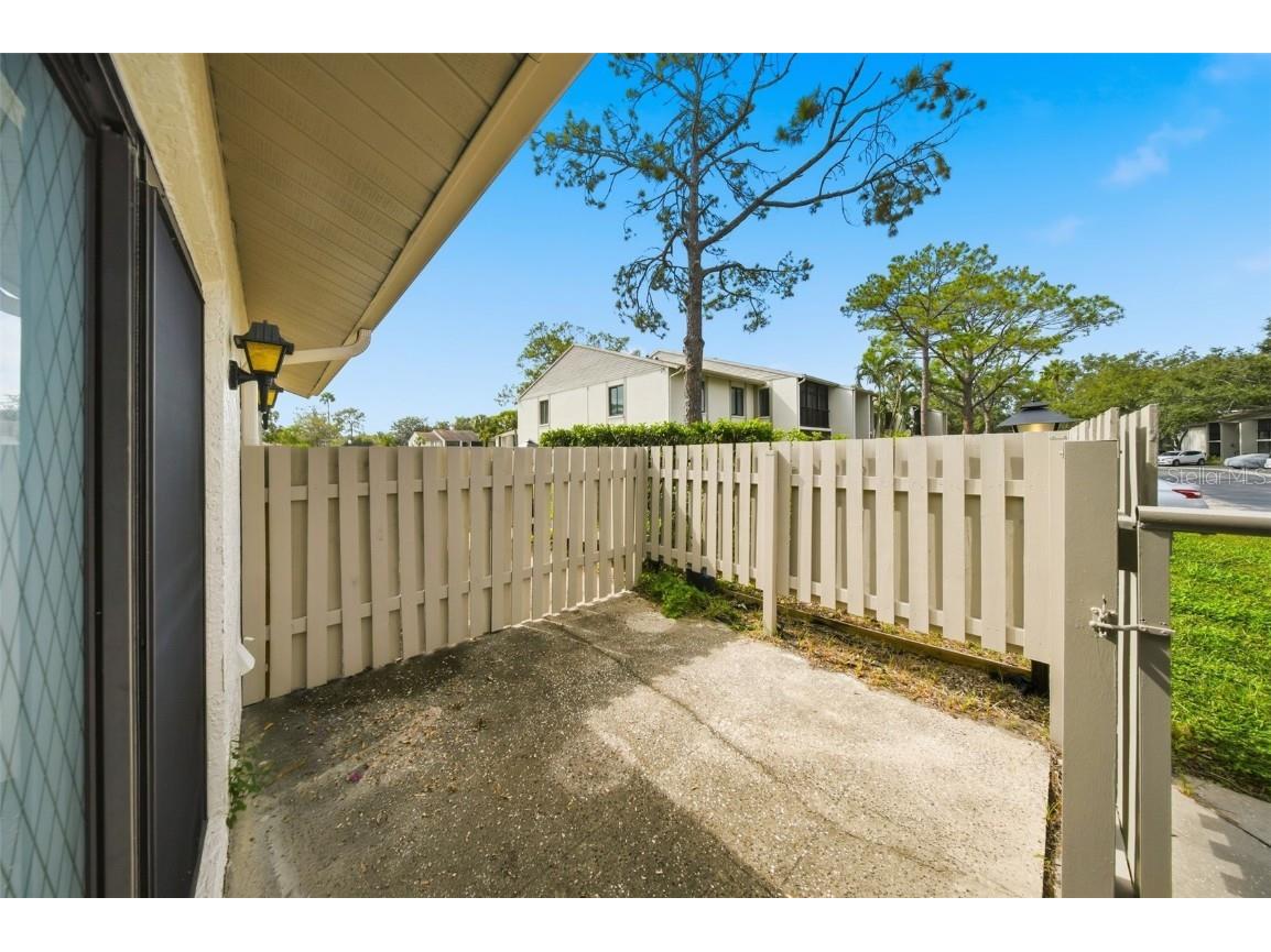 1725 Pine Ridge Way E #E Palm Harbor FL 34684 TB8458482 image27